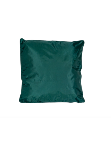 Coussin vert